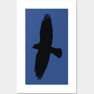 Minimalistic Jackdaw In Flight Silhouette Posters and Art